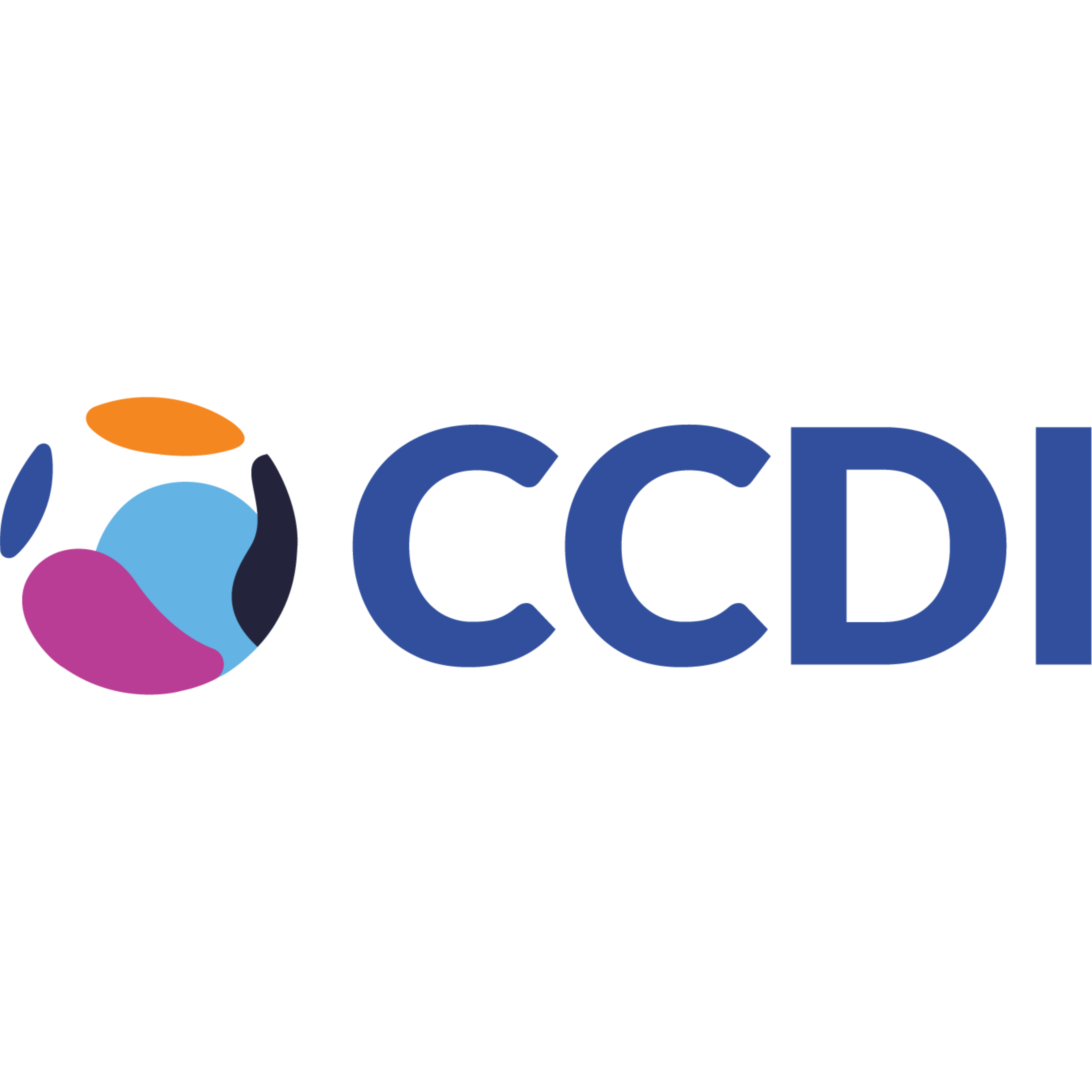 CCDI_Square